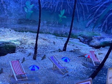 アクアワールド茨城県大洗水族館に投稿された画像（2021/7/23）