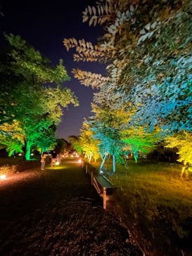 二条城×ネイキッド 二条城夏まつり2021に投稿された画像（2021/7/23）