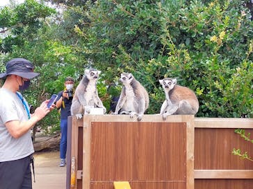 神戸どうぶつ王国に投稿された画像（2021/7/23）