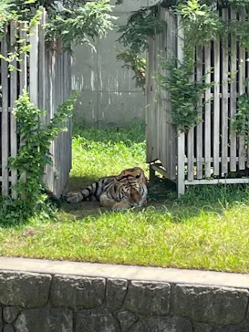 天王寺動物園に投稿された画像（2021/7/23）