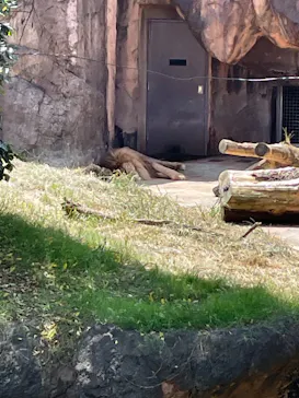 天王寺動物園に投稿された画像（2021/7/23）