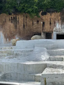 天王寺動物園に投稿された画像（2021/7/23）