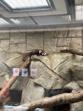 天王寺動物園に投稿された画像（2021/7/23）