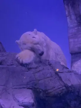 横浜・八景島シーパラダイスに投稿された画像（2021/7/23）