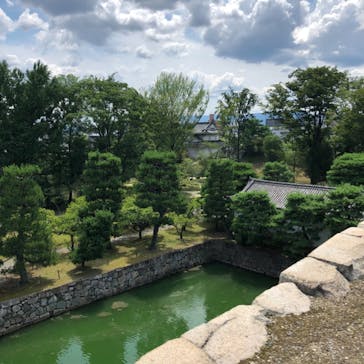 元離宮二条城に投稿された画像（2021/7/23）