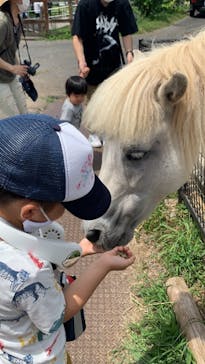 秋吉台自然動物公園 サファリランドに投稿された画像（2021/7/23）