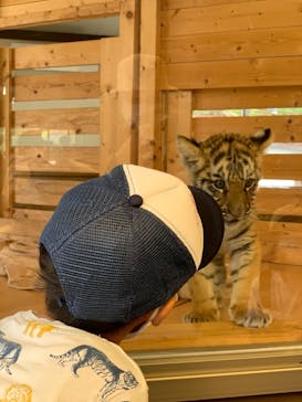 秋吉台自然動物公園 サファリランドに投稿された画像（2021/7/23）