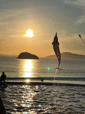 四国水族館に投稿された画像（2021/7/23）