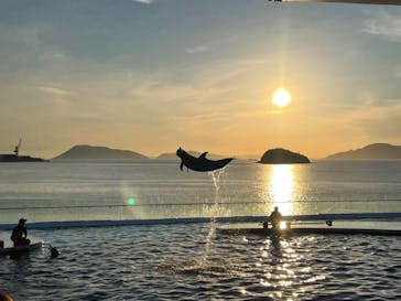 四国水族館に投稿された画像（2021/7/23）