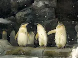 名古屋港水族館に投稿された画像（2021/7/23）