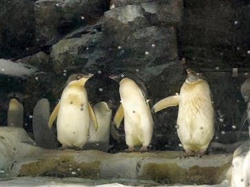名古屋港水族館に投稿された画像（2021/7/23）