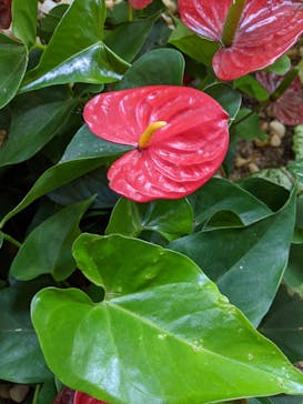 サンシャイン水族館に投稿された画像（2021/7/23）