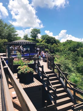 伊豆パノラマパークに投稿された画像（2021/7/23）