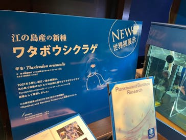新江ノ島水族館に投稿された画像（2021/7/23）