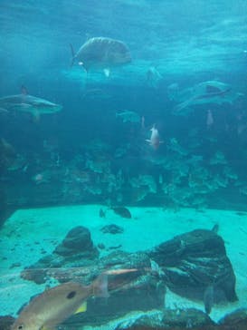 株式会社Gに投稿された画像（2021/7/23）