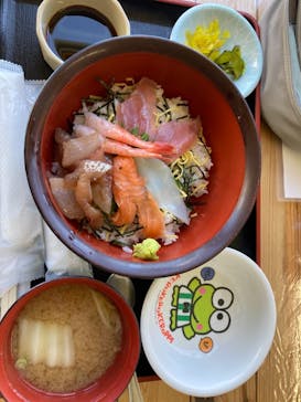 串本海中公園水族館に投稿された画像（2021/7/23）