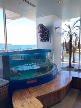 串本海中公園水族館に投稿された画像（2021/7/23）