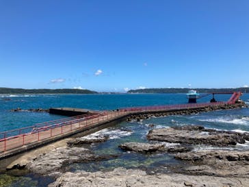 串本海中公園水族館に投稿された画像（2021/7/23）