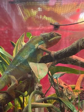 カワスイ 川崎⽔族館に投稿された画像（2021/7/23）