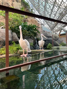横浜・八景島シーパラダイスに投稿された画像（2021/7/23）