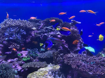 横浜・八景島シーパラダイスに投稿された画像（2021/7/23）