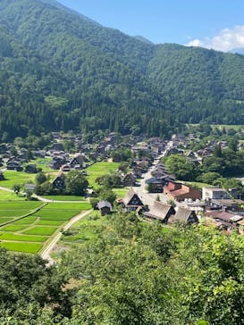 ホワイトリングに投稿された画像（2021/7/23）