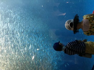 名古屋港水族館に投稿された画像（2021/7/24）