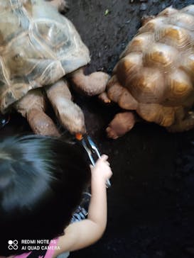 体感型動物園iZooに投稿された画像（2021/7/24）