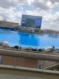 名古屋港水族館に投稿された画像（2021/7/24）