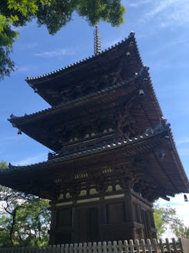 三溪園に投稿された画像（2021/7/24）