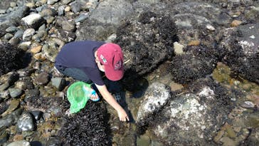 アクアワールド茨城県大洗水族館に投稿された画像（2021/7/24）
