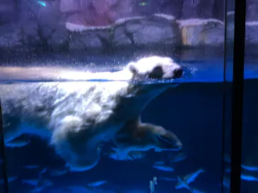 横浜・八景島シーパラダイスに投稿された画像（2021/7/24）