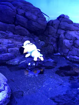 横浜・八景島シーパラダイスに投稿された画像（2021/7/24）