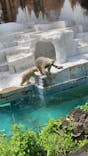 天王寺動物園に投稿された画像（2021/7/24）