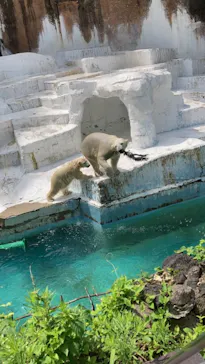 天王寺動物園に投稿された画像（2021/7/24）