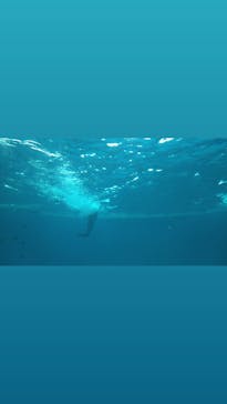 アクアワールド茨城県大洗水族館に投稿された画像（2021/7/24）