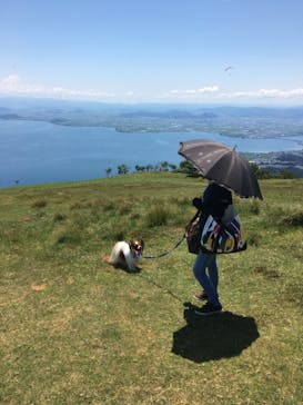 びわ湖バレイに投稿された画像（2021/7/24）