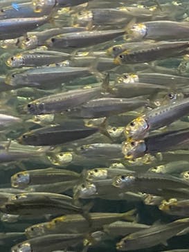 株式会社Gに投稿された画像（2021/7/24）