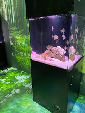 マクセル アクアパーク品川に投稿された画像（2021/7/24）