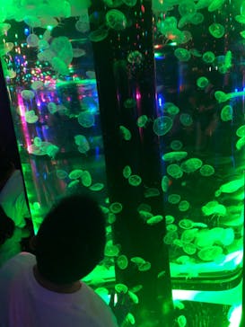 マクセル アクアパーク品川に投稿された画像（2021/7/24）