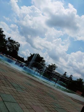 国営昭和記念公園 秋の夜散歩に投稿された画像（2021/7/24）