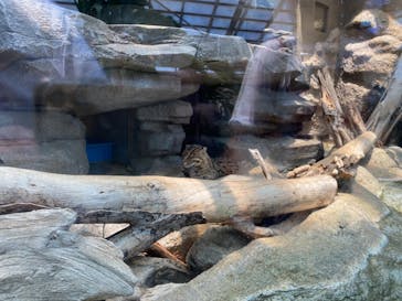 鳥羽水族館に投稿された画像（2021/7/24）