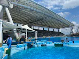 名古屋港水族館に投稿された画像（2021/7/24）