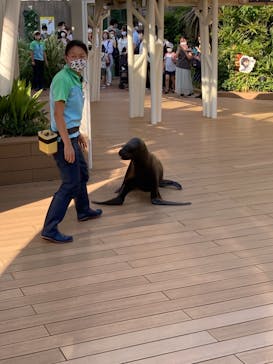 サンシャイン水族館に投稿された画像（2021/7/24）