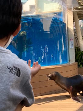 サンシャイン水族館に投稿された画像（2021/7/24）