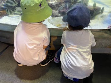 鳥羽水族館に投稿された画像（2021/7/24）