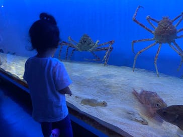 鳥羽水族館に投稿された画像（2021/7/24）