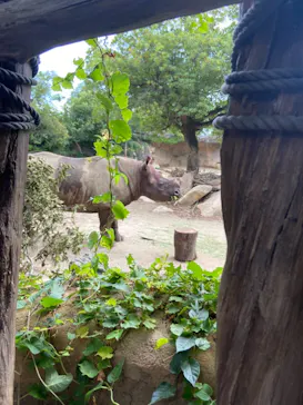 天王寺動物園に投稿された画像（2021/7/24）