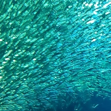 アクアワールド茨城県大洗水族館に投稿された画像（2021/7/24）