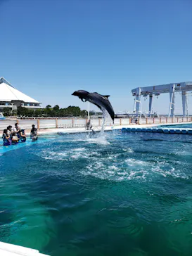 横浜・八景島シーパラダイスに投稿された画像（2021/7/24）